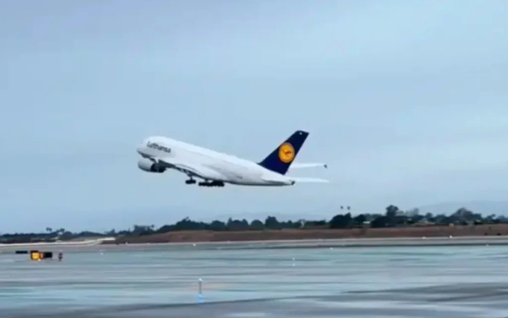 These viral videos from 2025 literally had us on the edge of our seats