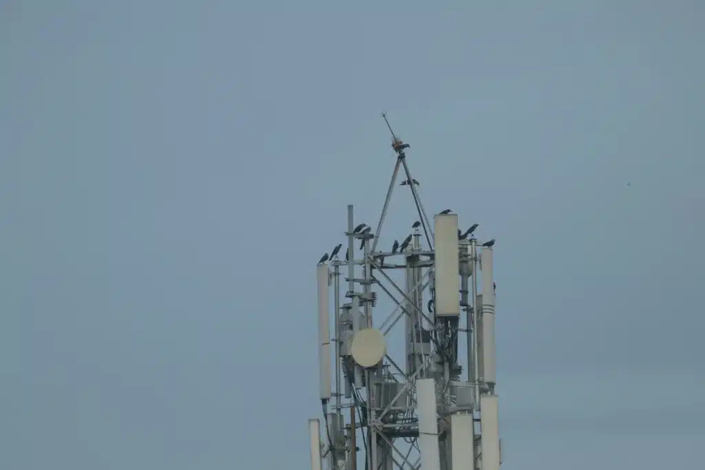 There’s a good chance you use it every single day, but did you know what the G in 5G stands for?
