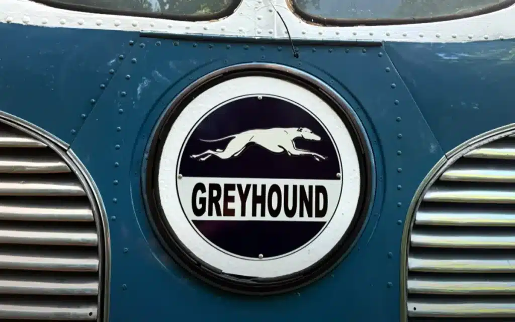 A 77-year-old vintage Greyhound Silverside named Lenny just completed a 2,000mi road trip after years in storage and proved he's far from finished