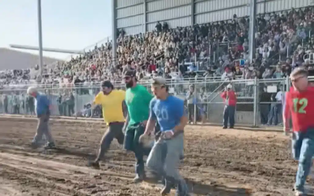 For 100 years, Oregon’s Pig-N-Ford Race has mixed Model T cars, live pigs, and pure chaos, and it might be the most redneck motorsport on Earth