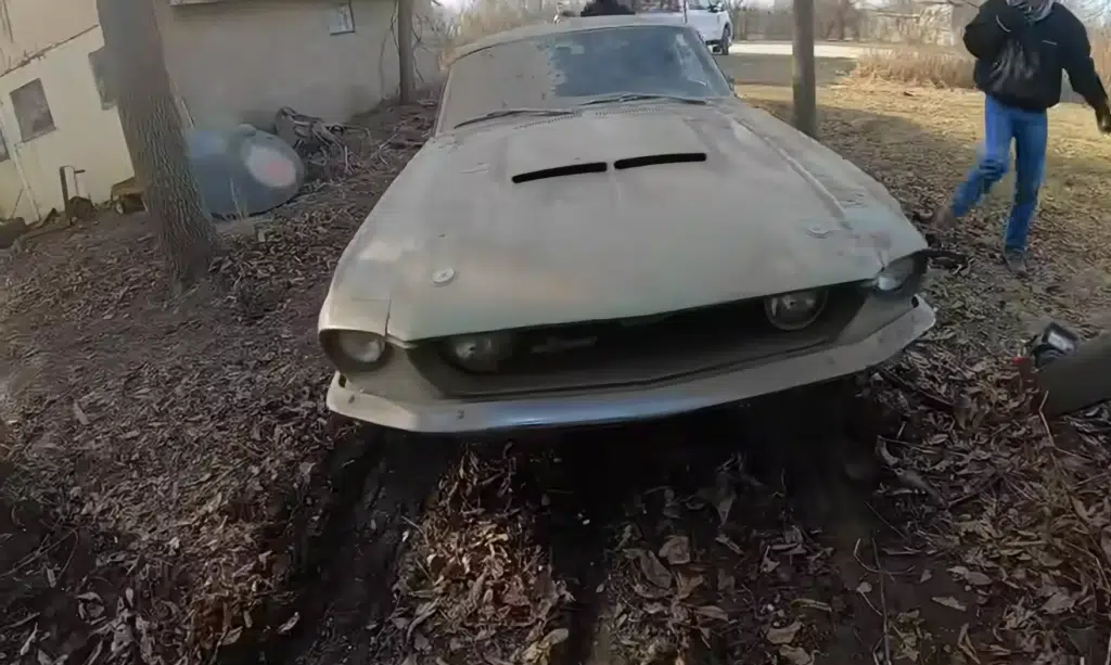 Widow unaware of 1967 Shelby GT500's value, but man pays fair price for Iowa barn find