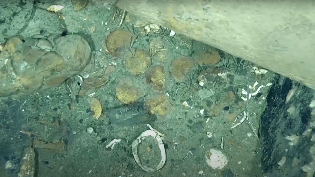 $20bn worth of treasure was found aboard the sunken ship