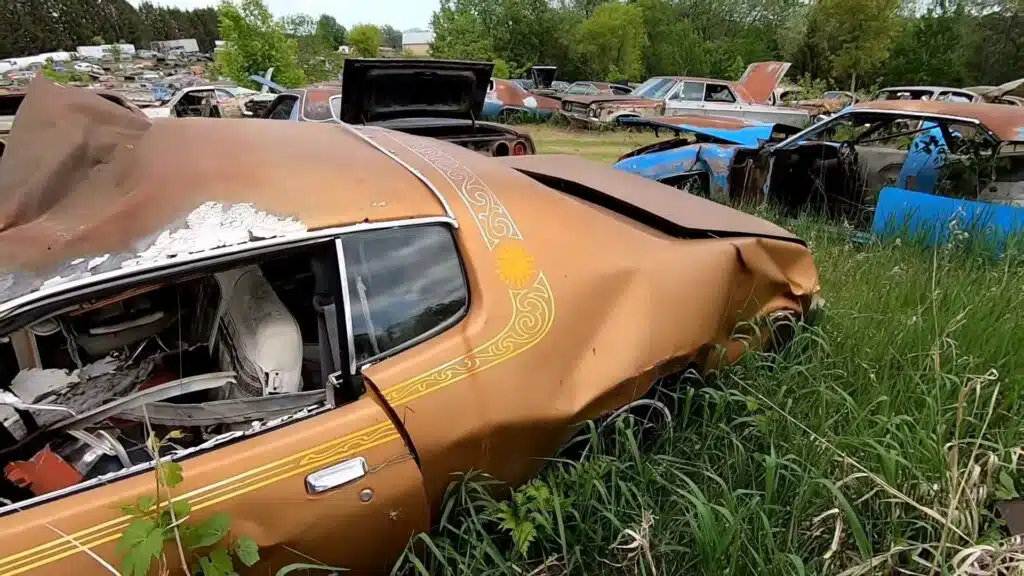 This Wisconsin junkyard is packed with 1,500 classic cars