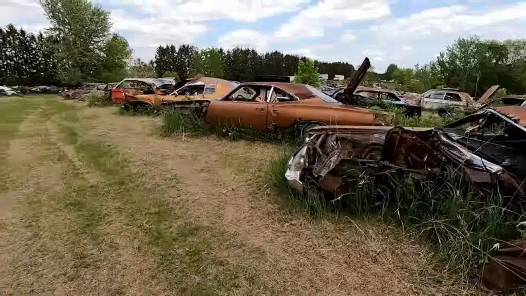 This Wisconsin junkyard is packed with 1,500 classic cars