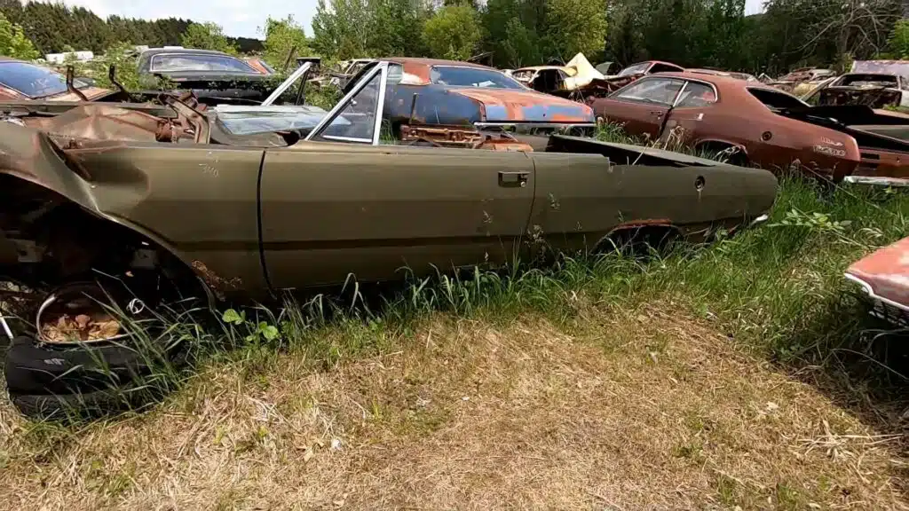 This Wisconsin junkyard is packed with 1,500 classic cars