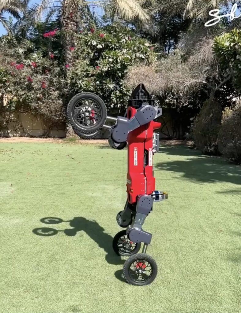 Swiss-Mile robot