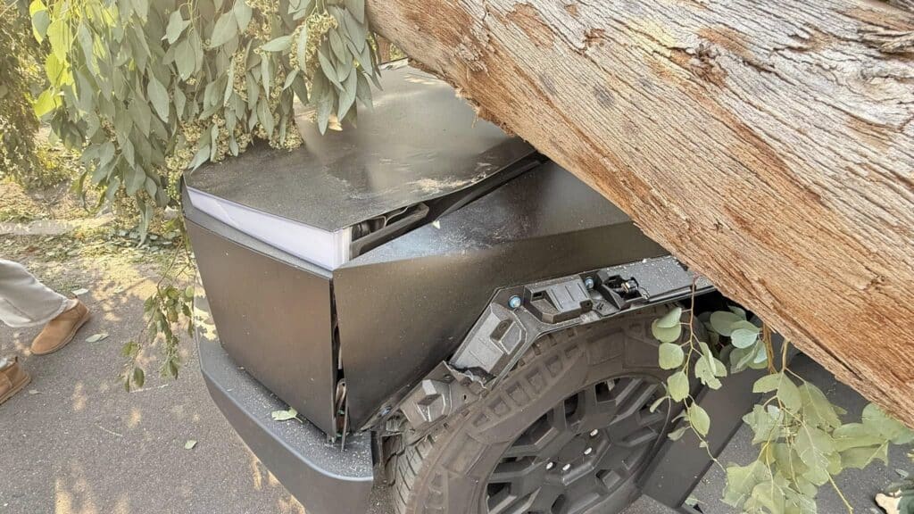 People in awe after Tesla Cybertruck hit by huge tree but was able to drive away