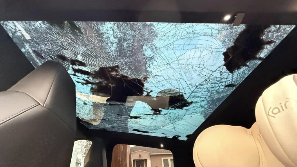 People in awe after Tesla Cybertruck hit by huge tree but was able to drive away