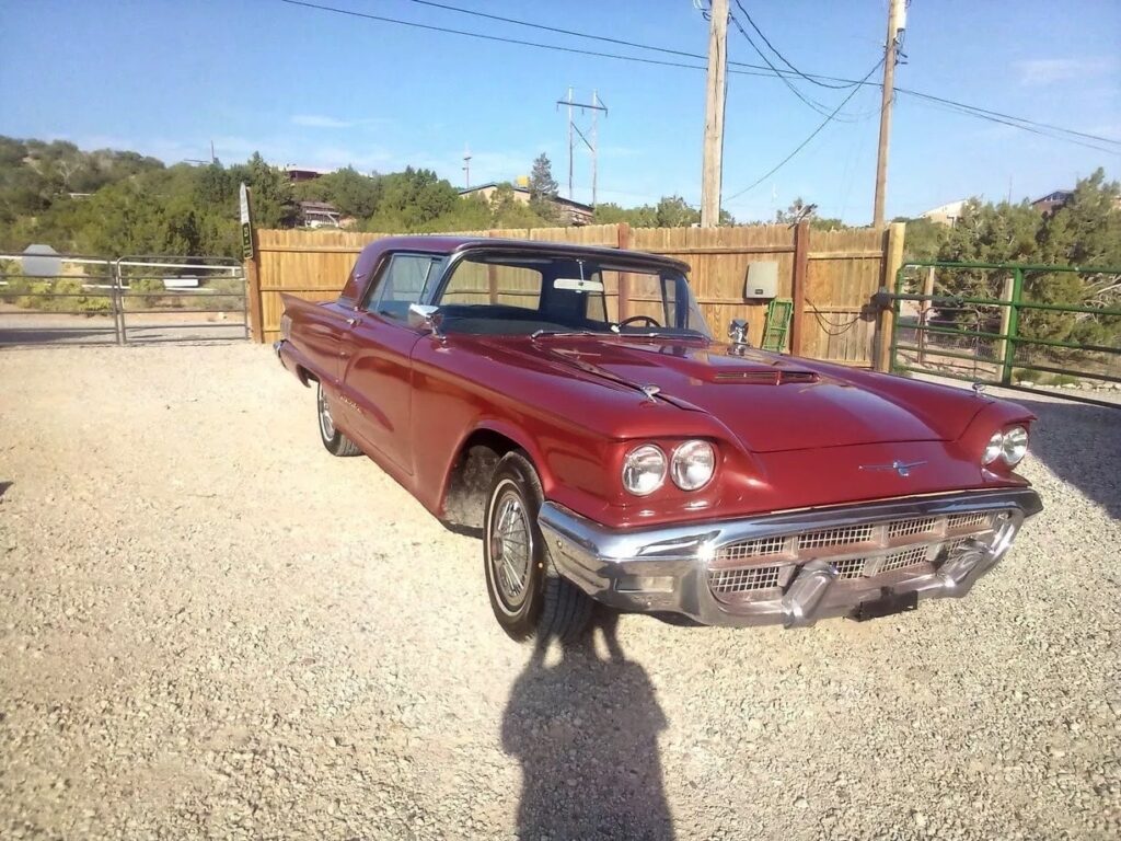 Man discovers stunning low-mile Ford Thunderbird among collection hit by Florida hurricane