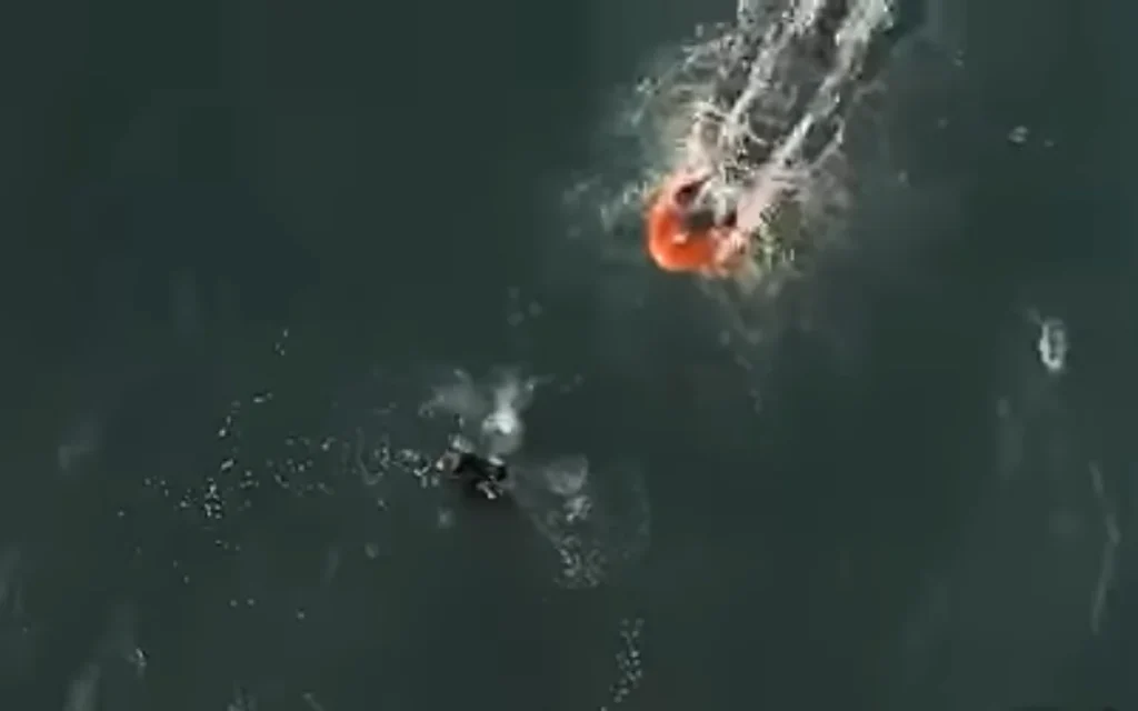 A Portuguese company has created the U Safe - an incredible remote-controlled buoy that could be a literal life saver out on the water.