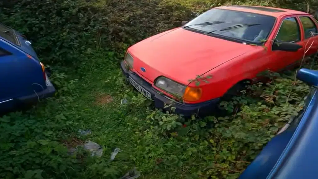 Man goes to abandoned property with a seemingly normal garden, only it's jampacked with vintage cars