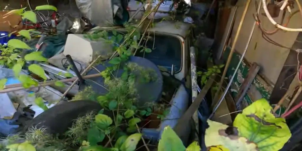 Man goes to abandoned property with a seemingly normal garden, only it's jampacked with vintage cars