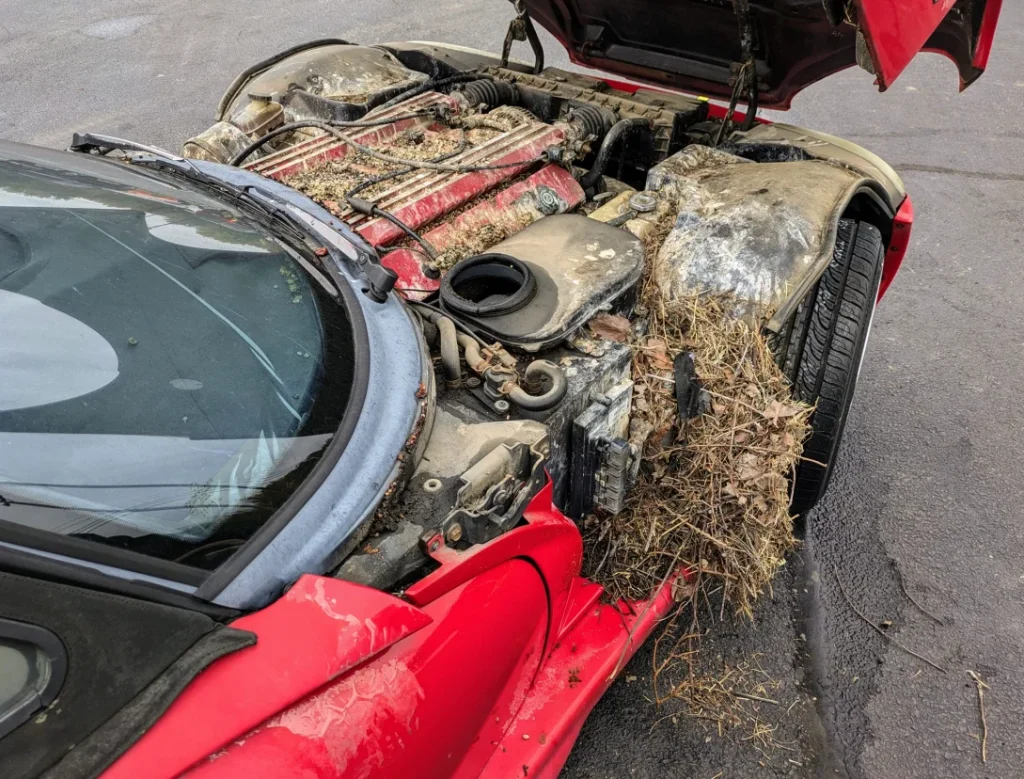 This Dodge Viper was perched in the skies above this Kentucky dealership for 28 years - and people were shocked at its condition