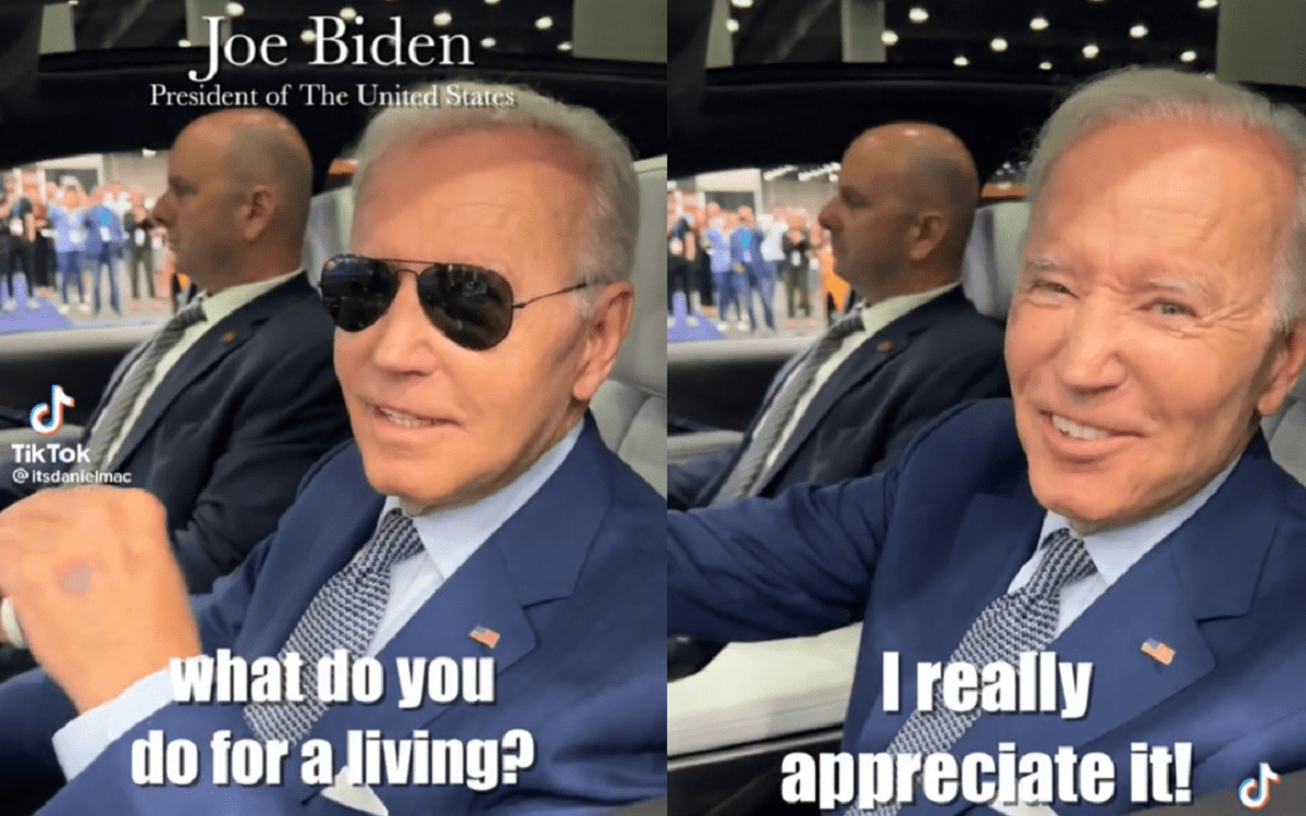 What does Joe Biden do for a living